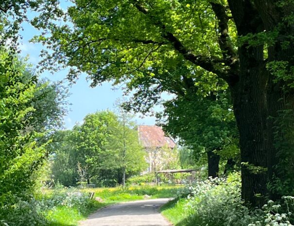 Weg Kaldenbroek mei 2025